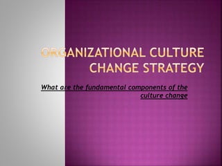 What are the fundamental components of the
culture change
 