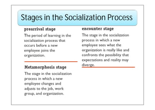 Stages in the Socialization Process
 