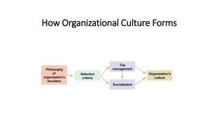 How Organizational Culture Forms
Selection
criteria
Socialization
Organization's
culture
Philosophy
of
organization's
foun...