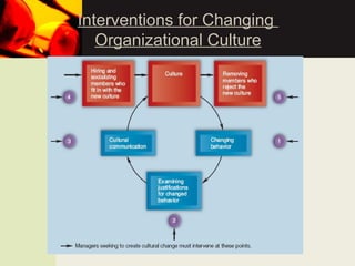 Interventions for Changing
Organizational Culture
 