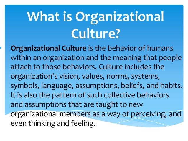 what is bureaucratic culture