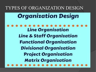 TYPES OF ORGANIZATION DESIGN
 