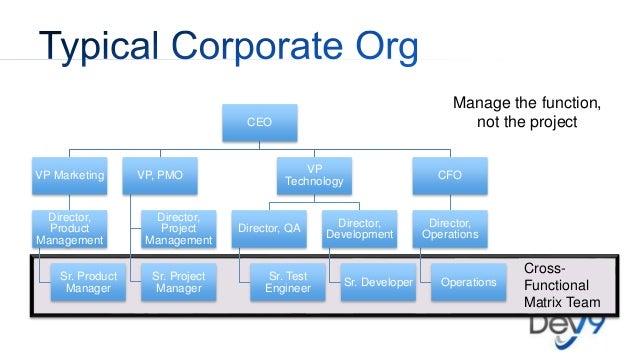 Typical Software Company Org Chart