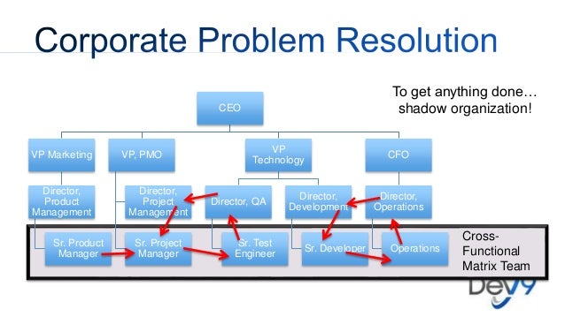 Organization Chart For Software Development Company