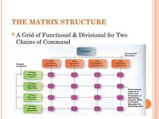 THE MATRIX STRUCTURE 
 A Grid of Functional & Divisional for Two 
Chains of Command 
 