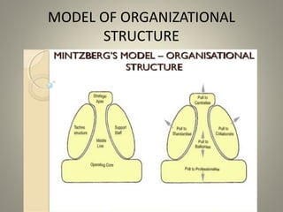 MODEL OF ORGANIZATIONAL
STRUCTURE
 