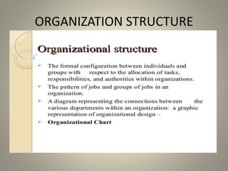 ORGANIZATION STRUCTURE
 