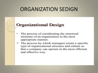 ORGANIZATION SEDIGN
 