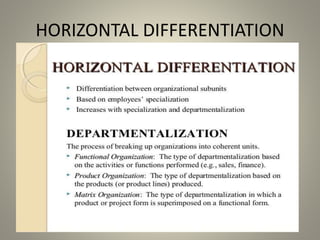 HORIZONTAL DIFFERENTIATION
 