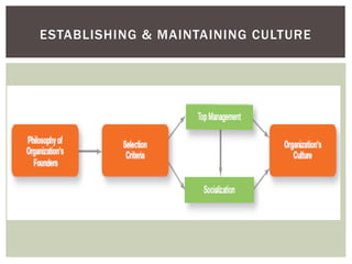 ESTABLISHING & MAINTAINING CULTURE
 
