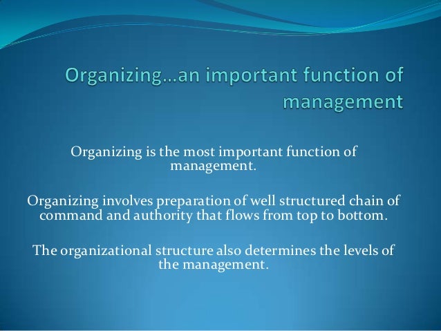 what advantages and disadvantages of a matrix type organization are apparent from this case 419 healthcare organizational structures advantages of matrix form simple, fast, and clearly apparent to employees. what advantages and disadvantages of a matrix type organization are apparent from this case 419 healthcare organizational structures advantages of matrix form simple, fast, and clearly apparent to employees.