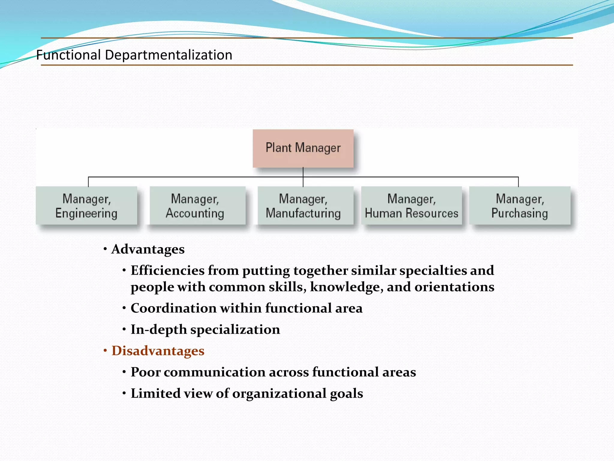 Functional Departmentalization

• Advantages
• Efficiencies from putting together similar specialties and
people with common skills, knowledge, and orientations
• Coordination within functional area
• In-depth specialization
• Disadvantages
• Poor communication across functional areas

• Limited view of organizational goals

 