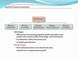 Functional Departmentalization

• Advantages
• Efficiencies from putting together similar specialties and
people with common skills, knowledge, and orientations
• Coordination within functional area
• In-depth specialization
• Disadvantages
• Poor communication across functional areas

• Limited view of organizational goals

 