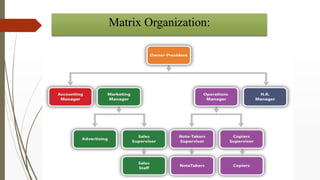Organizational Structure: Departmentation | PPTX
