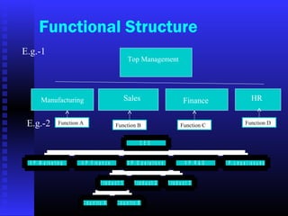 Functional Structure
V P M a r k e t in g V P F in a n c e
C o u n t r y A C o u n t r y B
P r o d u c t 1 P r o d u c t 2 P r o d u c t 3
V P O p e r a t io n s V P R & D V P L e g a l is s u e s
C E O
Top Management
Manufacturing FinanceSales HR
E.g.-1
E.g.-2 Function A Function B Function C Function D
 