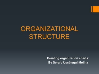 Organizational structure | PPT
