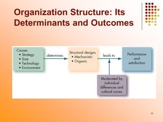 Organization Structure: Its
Determinants and Outcomes

11

 