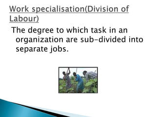 The degree to which task in an
organization are sub-divided into
separate jobs.

 