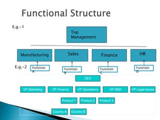 E.g.-1
Top
Management

Sales

Manufacturing

E.g.-2

Function
A

Finance

Function
B

Function
C

HR
Function
D

CEO

VP Marketing

VP Finance

VP Operations

Product 1

Country A

Product 2

Country B

VP R&D

Product 3

VP Legal issues

 