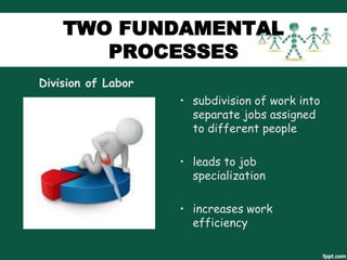 TWO FUNDAMENTAL
PROCESSES
Division of Labor
• subdivision of work into
separate jobs assigned
to different people
• leads to job
specialization
• increases work
efficiency

 