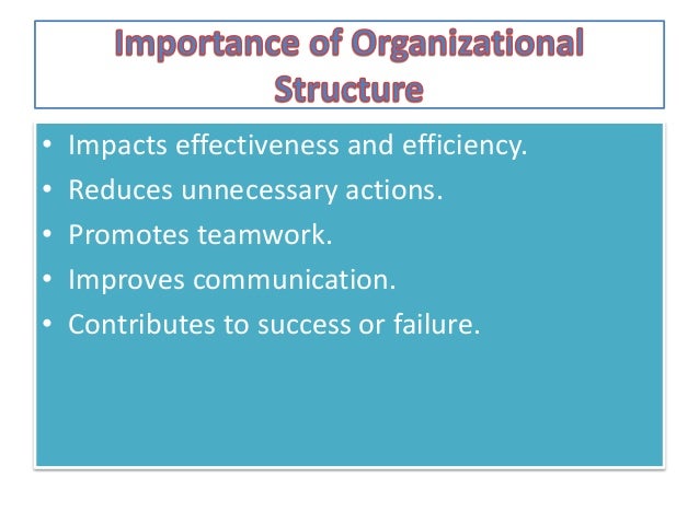 Organizational Structure
