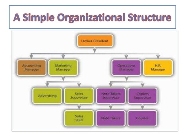 organizational structure of a company