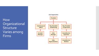 How
Organizational
Structure
Varies among
Firms
 