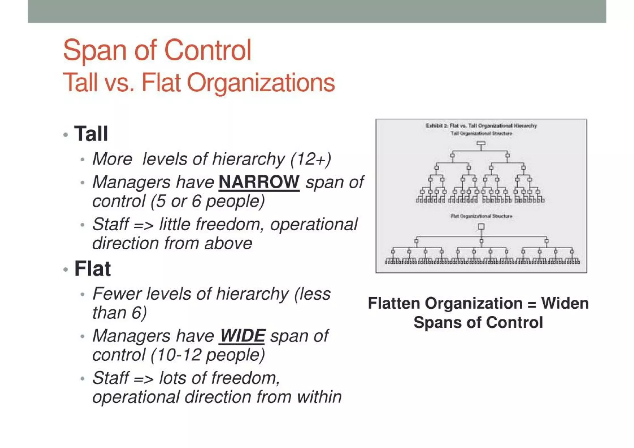 Organizational Structure