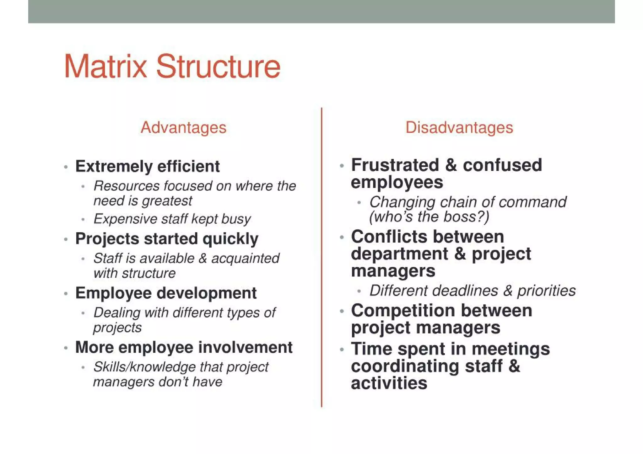 Organizational Structure