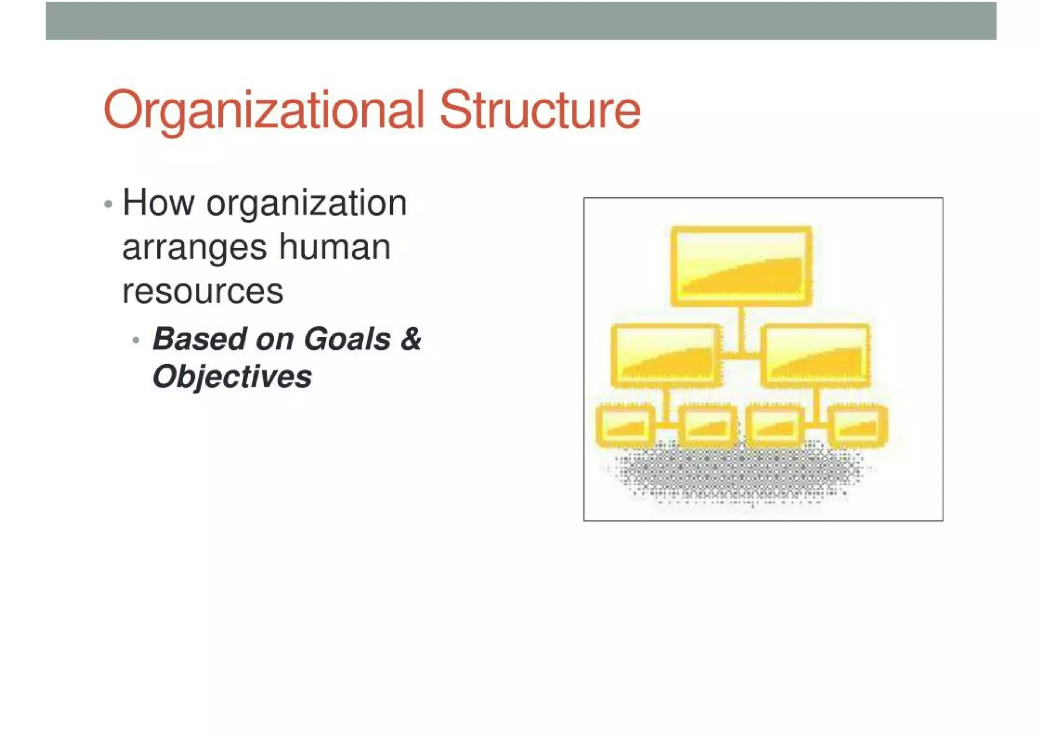 Organizational Structure