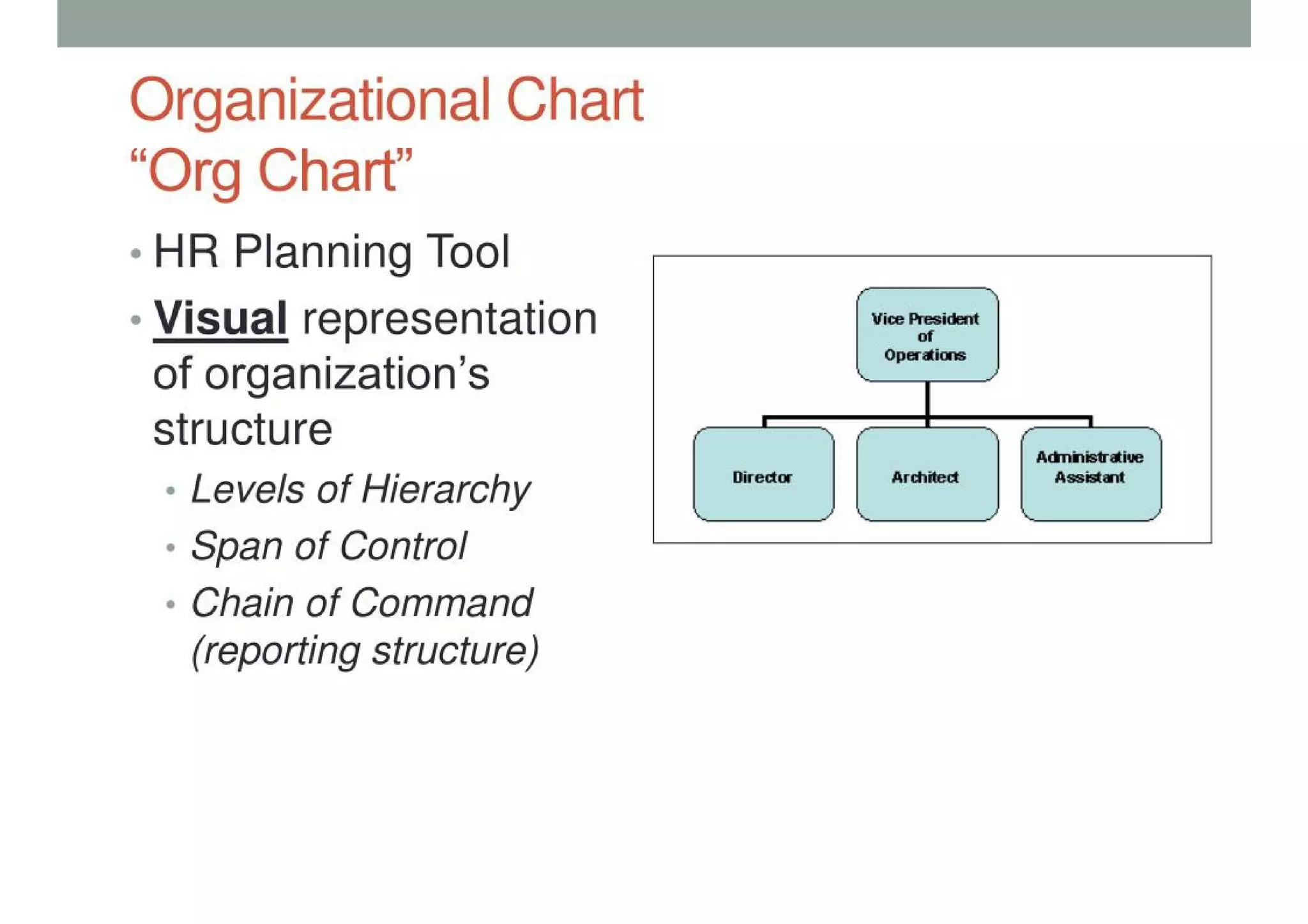 Organizational Structure