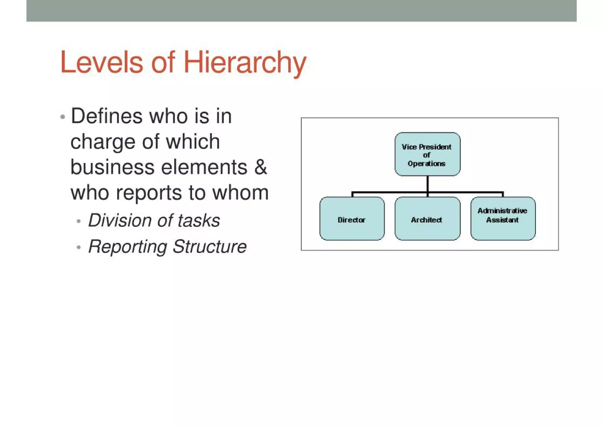 Organizational Structure