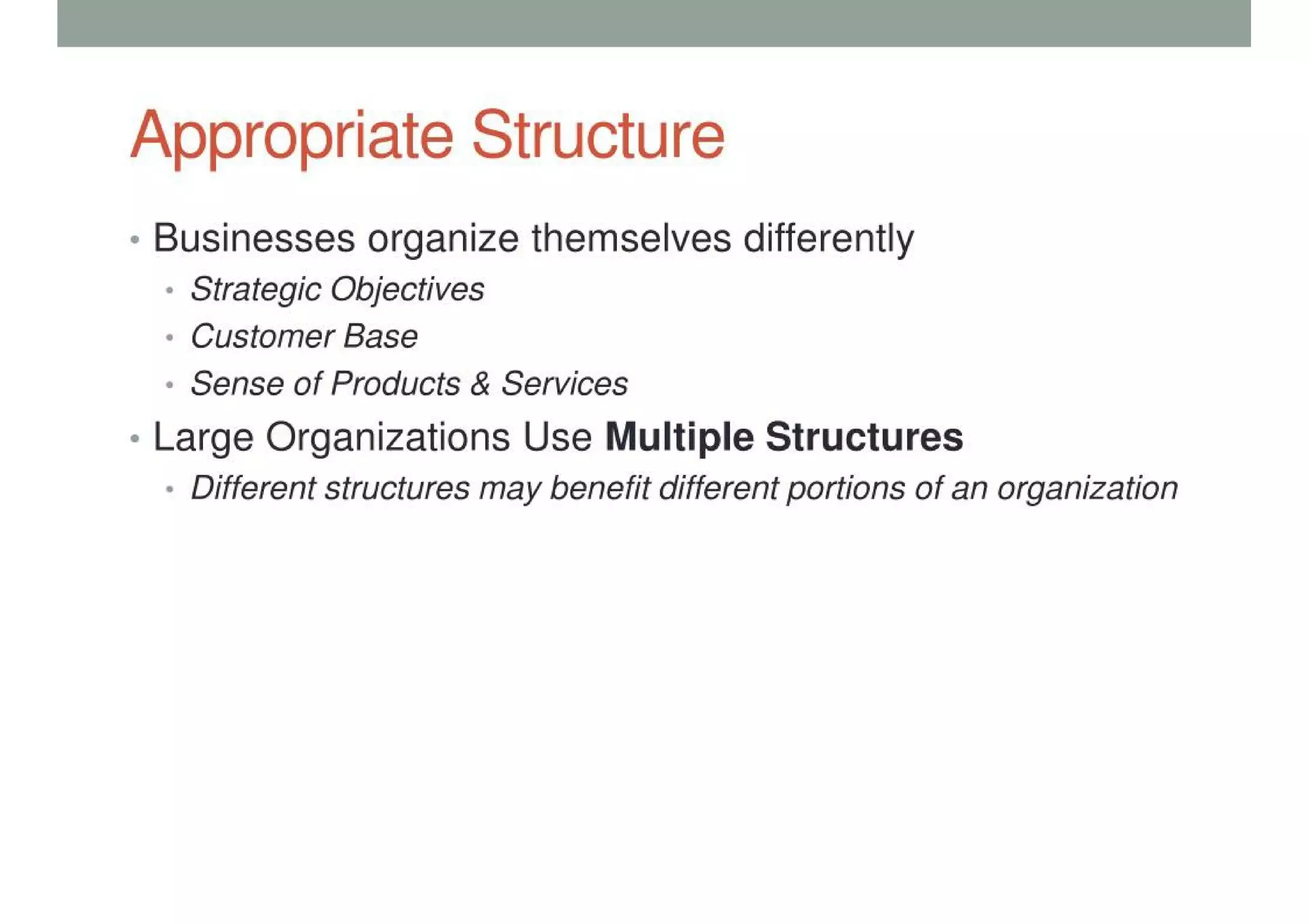 Organizational Structure