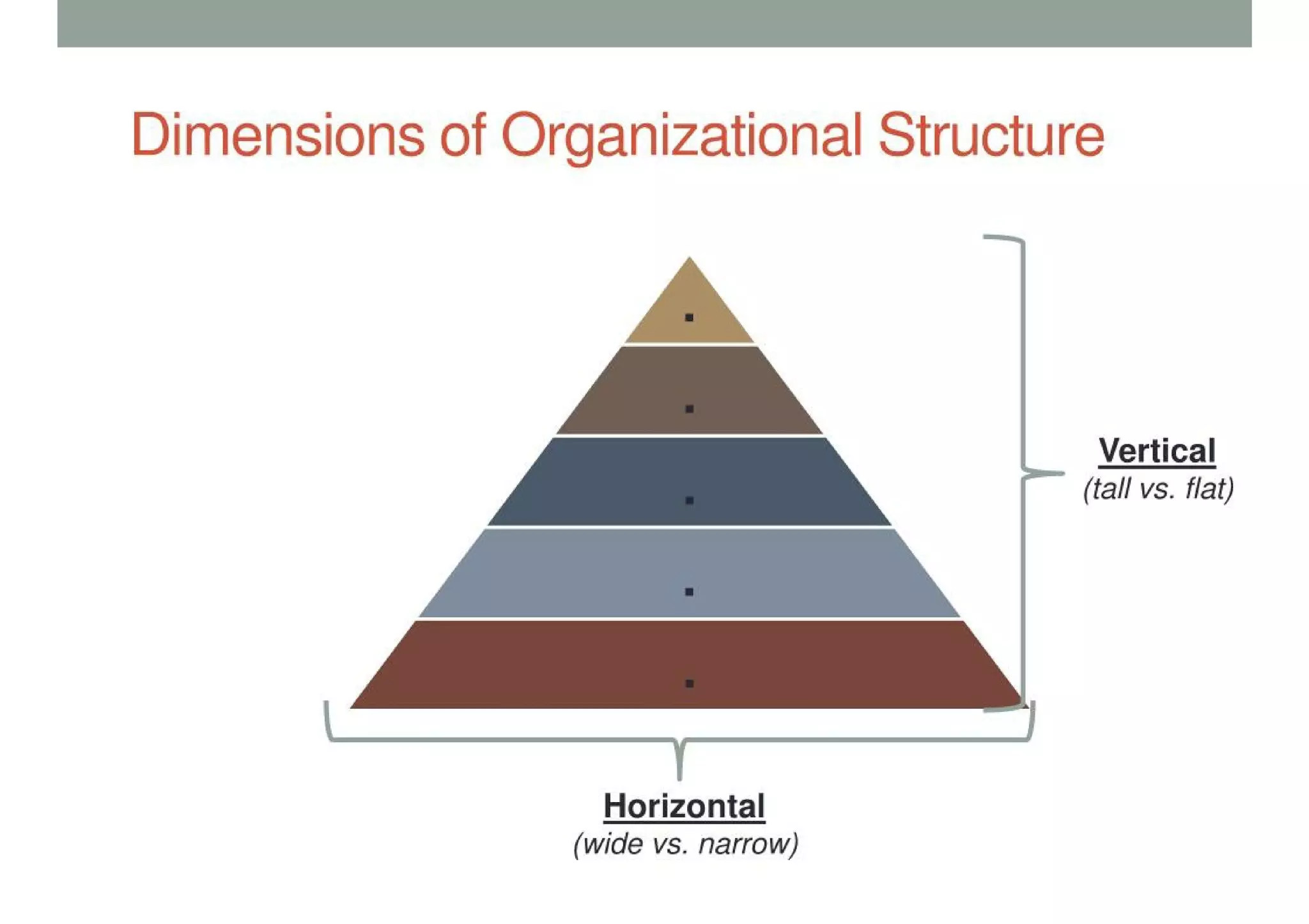 Organizational Structure