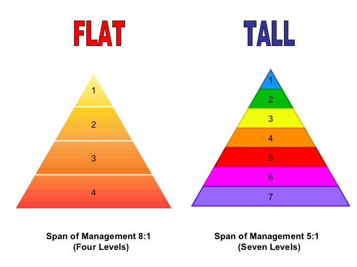 flat organizational structure