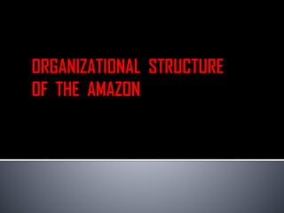 Organizational structure | PDF