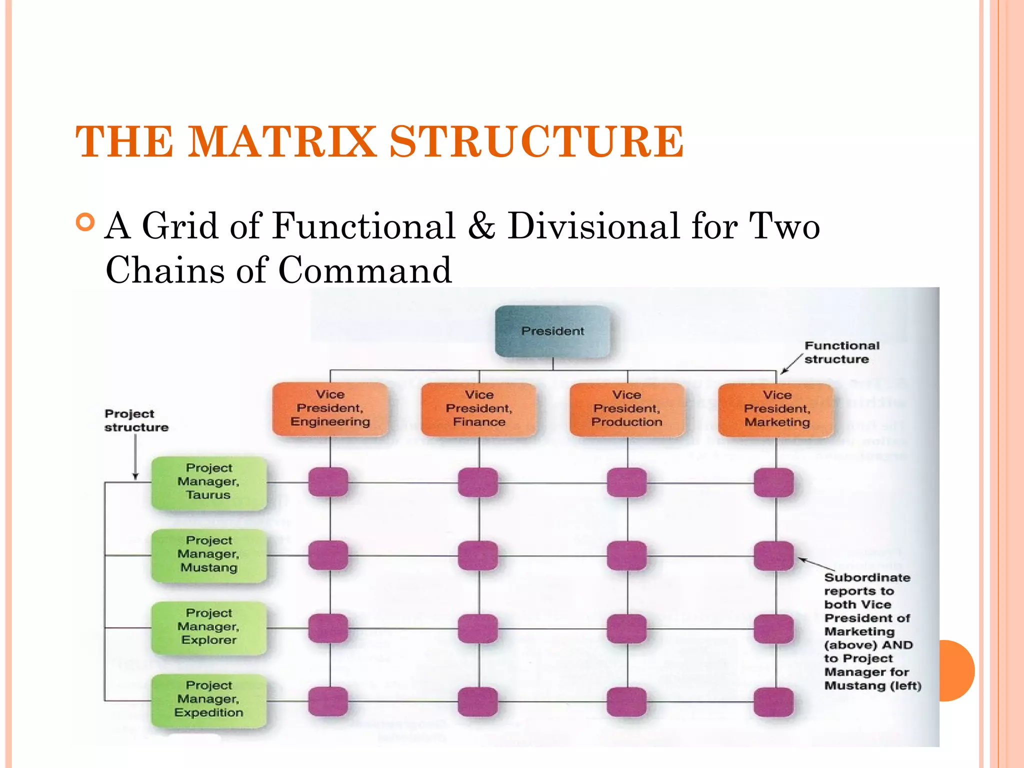 THE MATRIX STRUCTURE 
 A Grid of Functional & Divisional for Two 
Chains of Command 
 