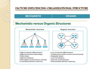 FACTORS INFLUENCING ORGANIZATIONAL STRUCTURE
MECHANISTIC ORGANIC
 
