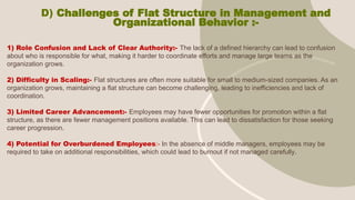 Flay Structure Organizational Structure and process UNIT 2.pptx