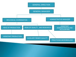 GENERAL DIRECTION


                                   GENERAL MANAGER




   BIOLOGICAL COORDINATION                             ADMINISTRATIVE MANAGER



                                                                  ASSISTANT
HEAD OF PRODUCTION     HEAD OF QUALITY AND RESEARCH           ADMINISTRATIVE AND
                                                                 ACCOUNTING



ASSISTANT PRODUCTION
                             AUXILIARY REMER QUALITY
                                                         PRACTICING MICROBIOLOGY
 