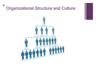 +
    Organizational Structure and Culture
 