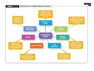Organizational Structure&amp;Culture