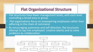 Flay Structure Organizational structure NURSING | PPTX