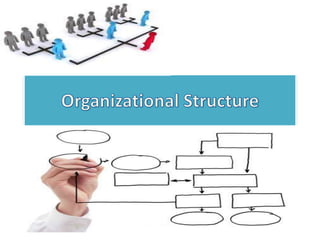 organizational structure in nursing managements | PPTX