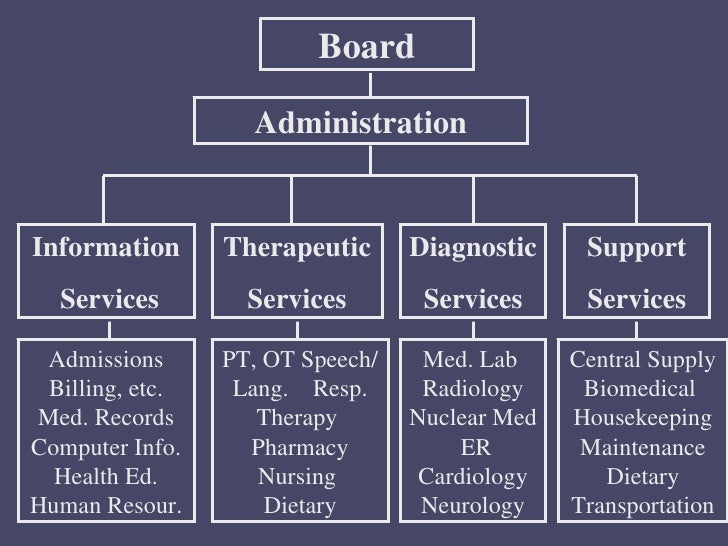 Physical Therapy Organizational Chart