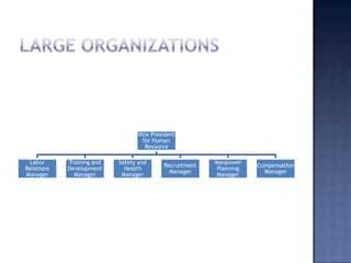 Human Resources Department Structure