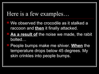 Here is a few examples…
 We observed the crocodile as it stalked a
raccoon and then it finally attacked.
 As a result of the noise we made, the rabit
bolted…
 People bumps make me shiver. When the
temperature drops below 45 degrees. My
skin crinkles into people bumps.
 