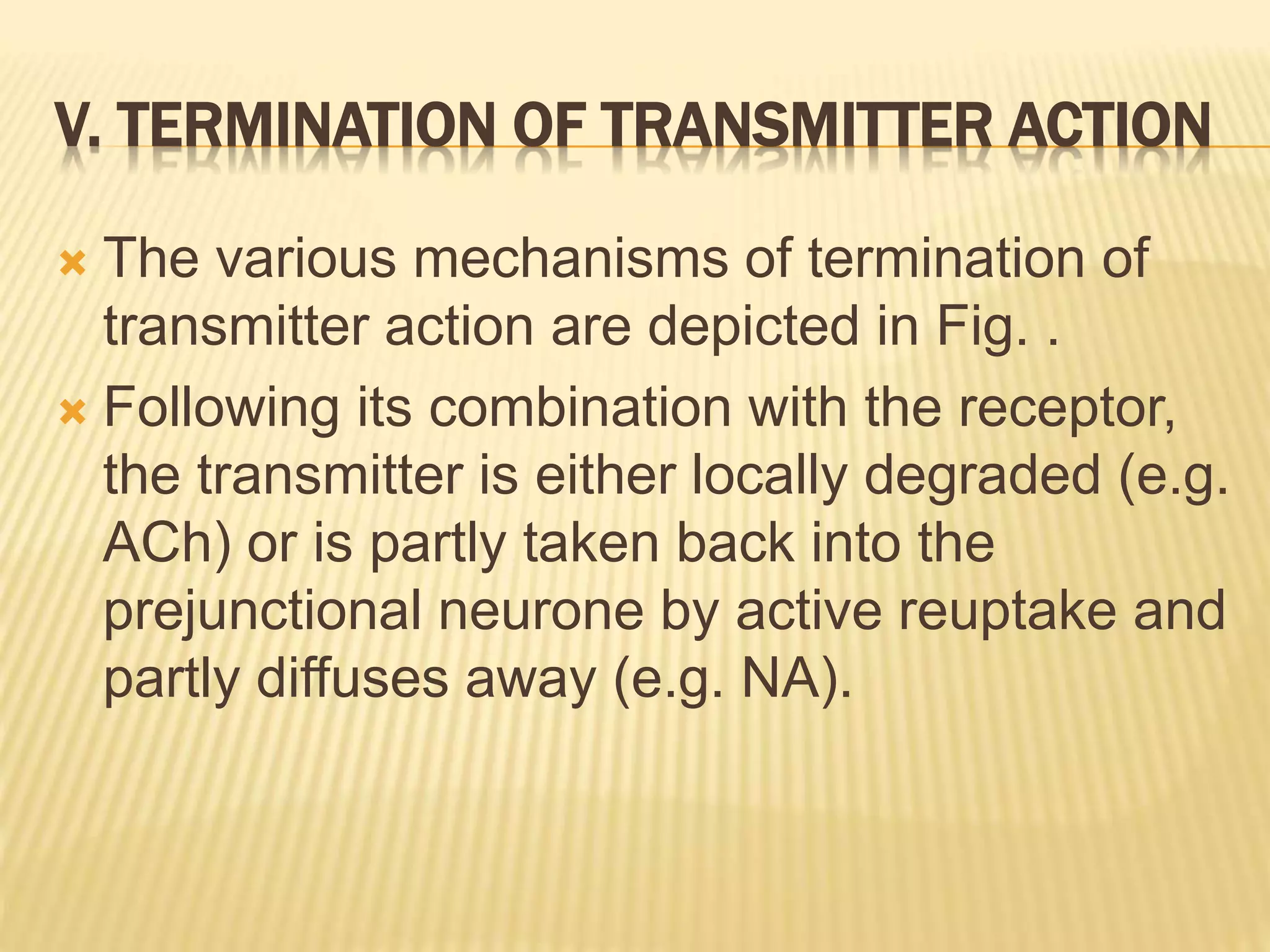 V. TERMINATION OF TRANSMITTER ACTION
 The various mechanisms of termination of
transmitter action are depicted in Fig. .
 Following its combination with the receptor,
the transmitter is either locally degraded (e.g.
ACh) or is partly taken back into the
prejunctional neurone by active reuptake and
partly diffuses away (e.g. NA).
 