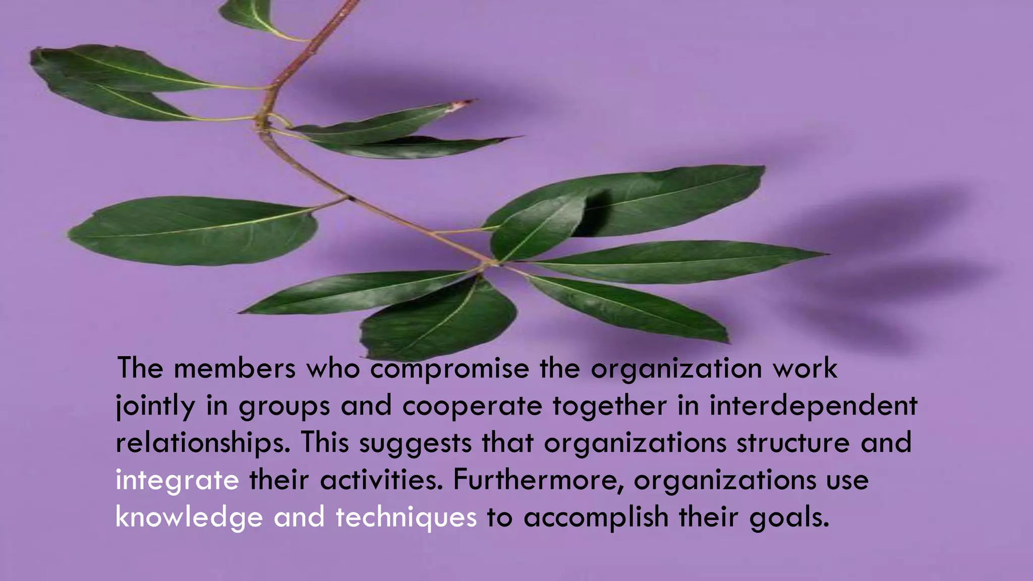 The members who compromise the organization work
jointly in groups and cooperate together in interdependent
relationships. This suggests that organizations structure and
integrate their activities. Furthermore, organizations use
knowledge and techniques to accomplish their goals.