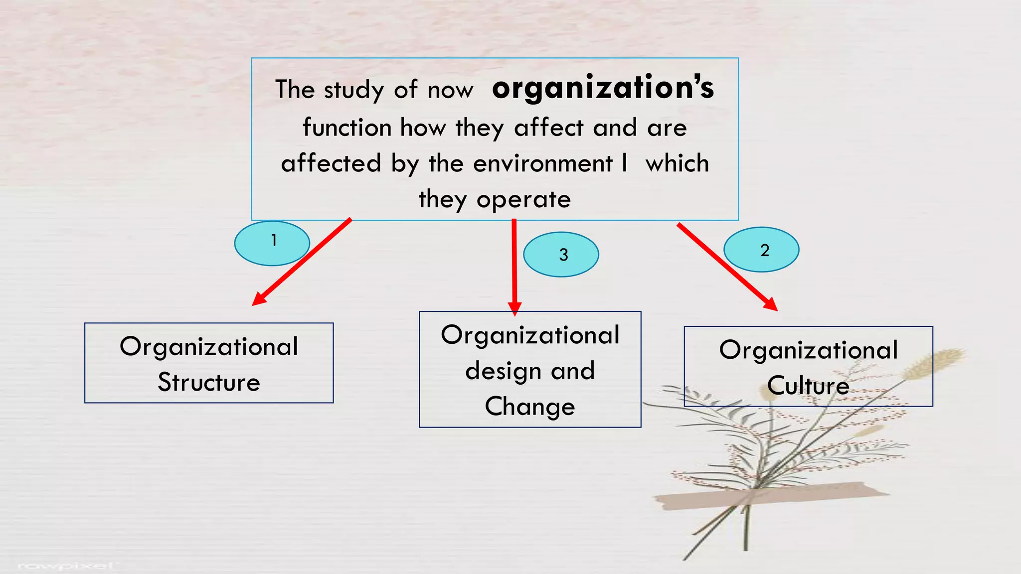 The study of now organization’s
function how they affect and are
affected by the environment I which
they operate
Organizational
design and
Change
Organizational
Structure
Organizational
Culture
1
2
3
